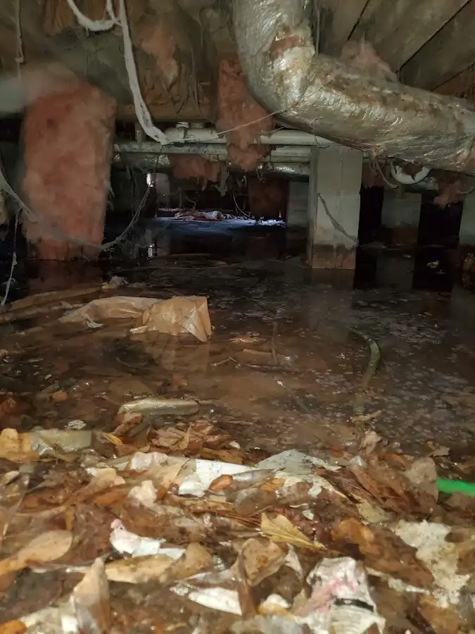 Crawl space flood assessment for Leak Detection & Repair in Chico